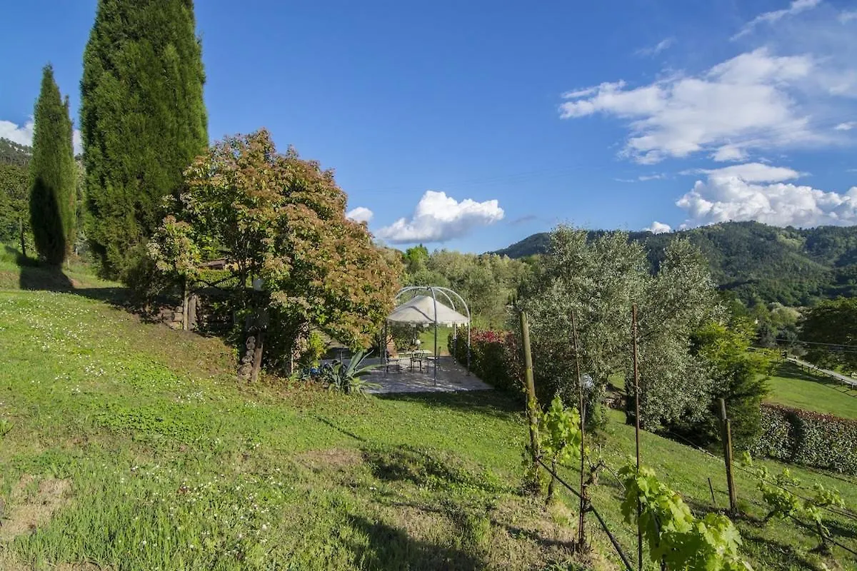 Casa Vinaria Lucca-Tuscany Private Pool New2024, Exclusive Use San Martino in Freddana