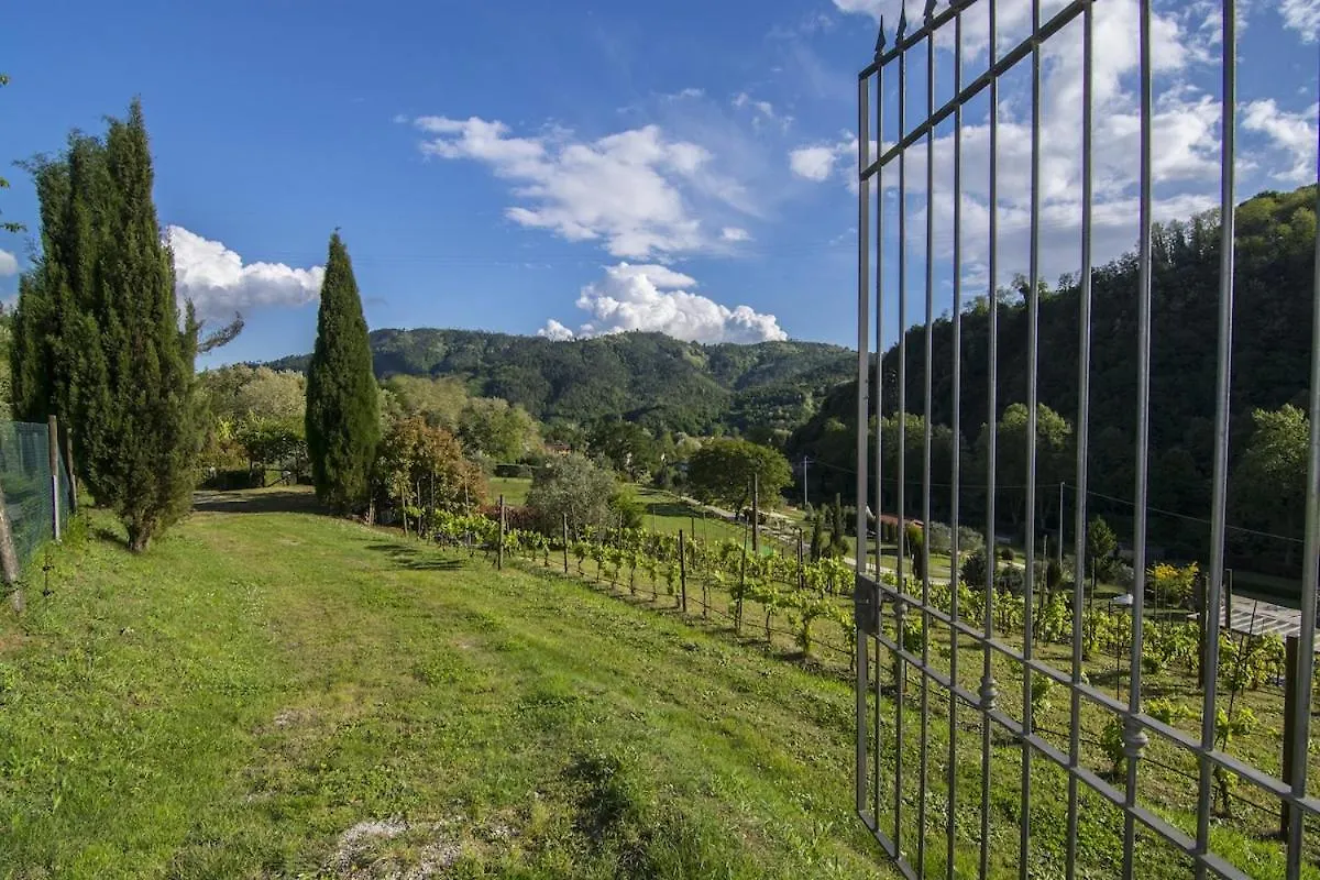 Casa Vinaria Lucca-Tuscany Private Pool New2024, Exclusive Use San Martino in Freddana Italy