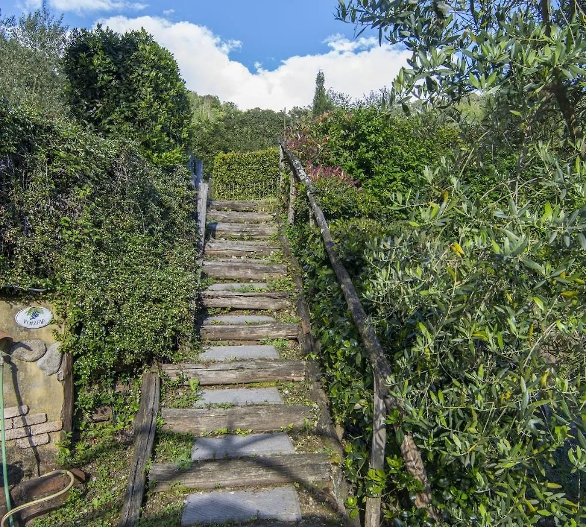 Holiday home Casa Vinaria Lucca-Tuscany Private Pool New2024, Exclusive Use San Martino in Freddana